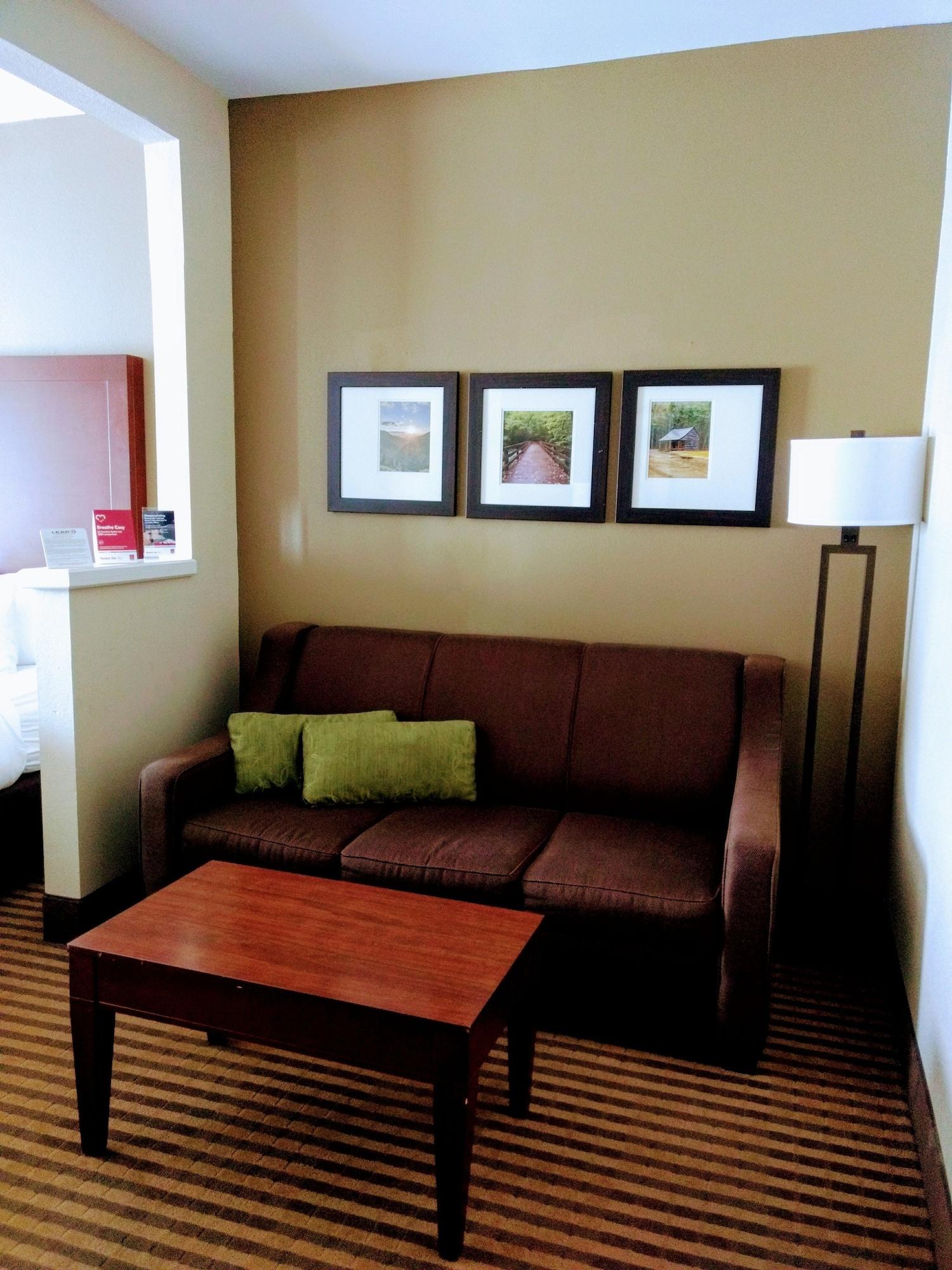 Comfort Suites Johnson City Near University Esterno foto